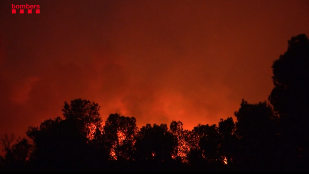 Las sanciones por provocar un incendio en España: de 1.000 euros por una colilla a un millón y 20 años de cárcel