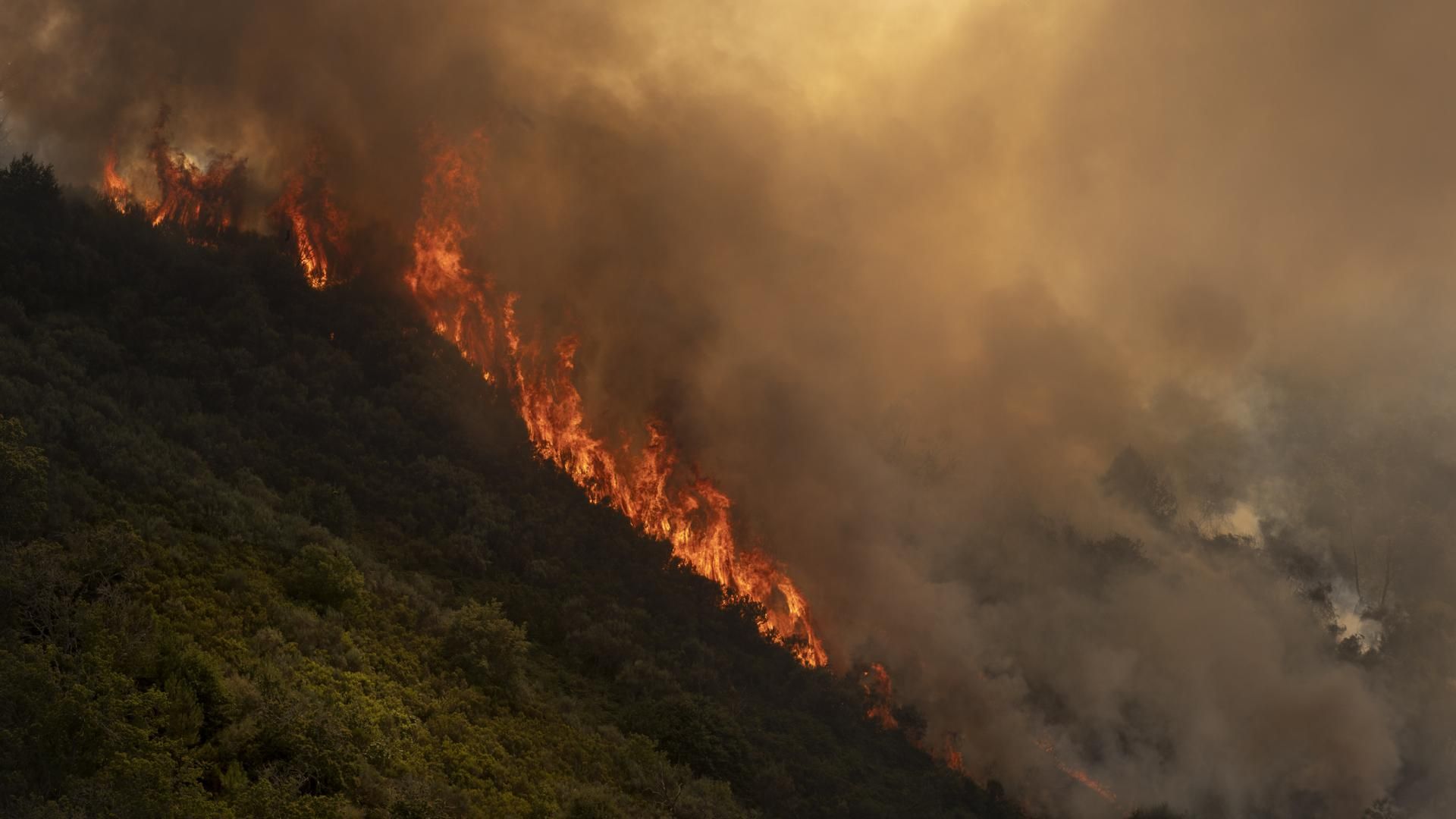 Un incendio forestal en Viladervós, Ourense, quema ya 450 hectáreas