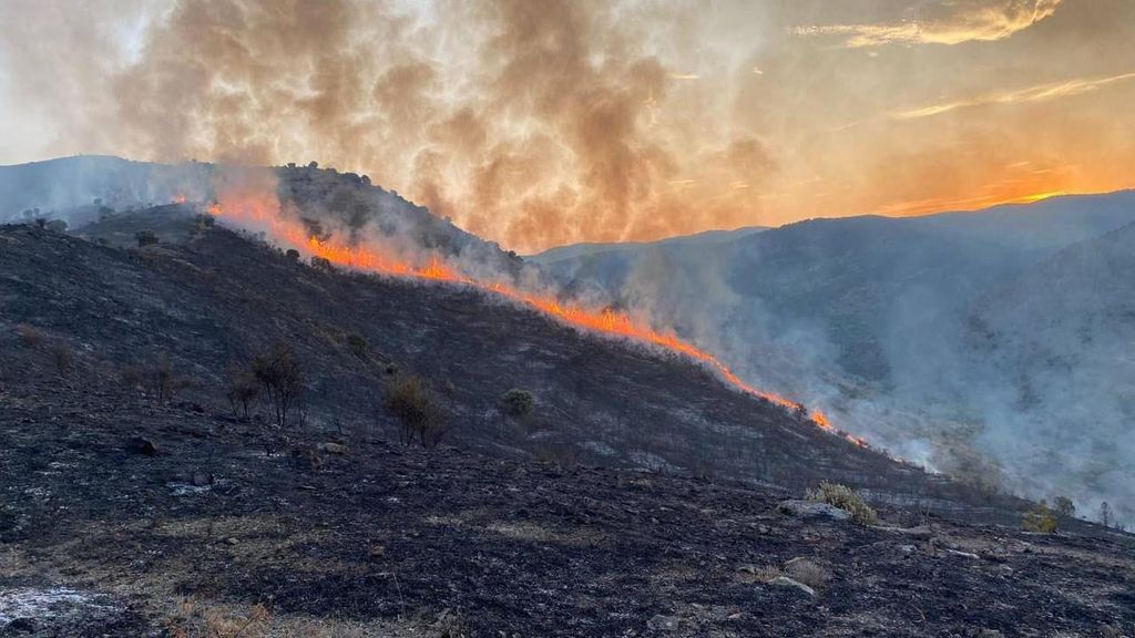 Desalojan seis viviendas en un incendio forestal que afecta a Valdeperillo, en La Rioja: el fuego se originó en Cornago