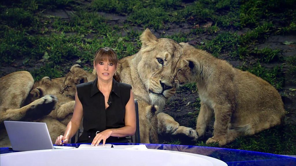 Con Arancha Morales Informativos Telecinco 2025 Mediodía 05/08/2025