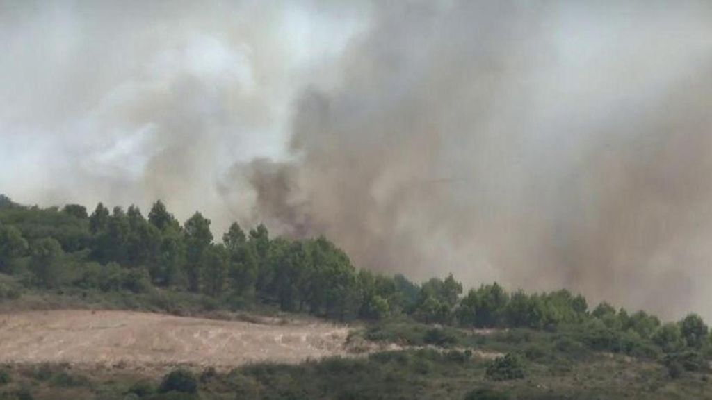 La Guardia Civil colabora en el desalojo de 400 ovejas por un incendio en Añorbe en Navarra