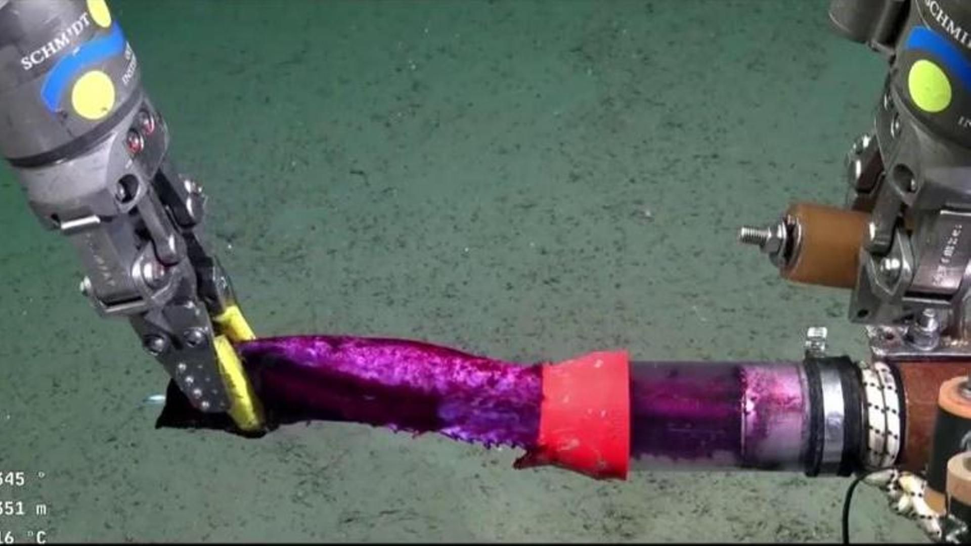 La retransmisión en directo de la expedición científica de un robot por el fondo del mar causa furor en Argentina