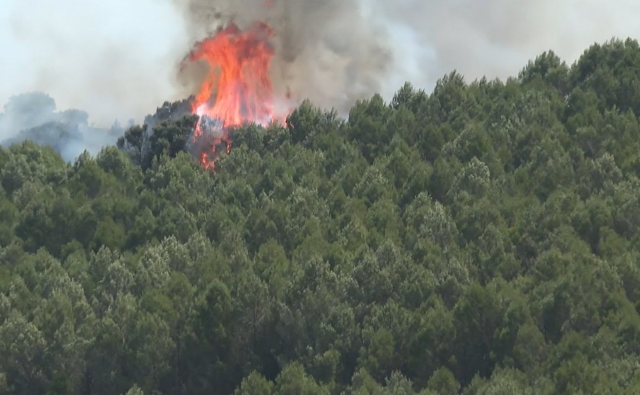 El origen del incendio en Navarra estaría en la chispa de una máquina cosechadora de cereal
