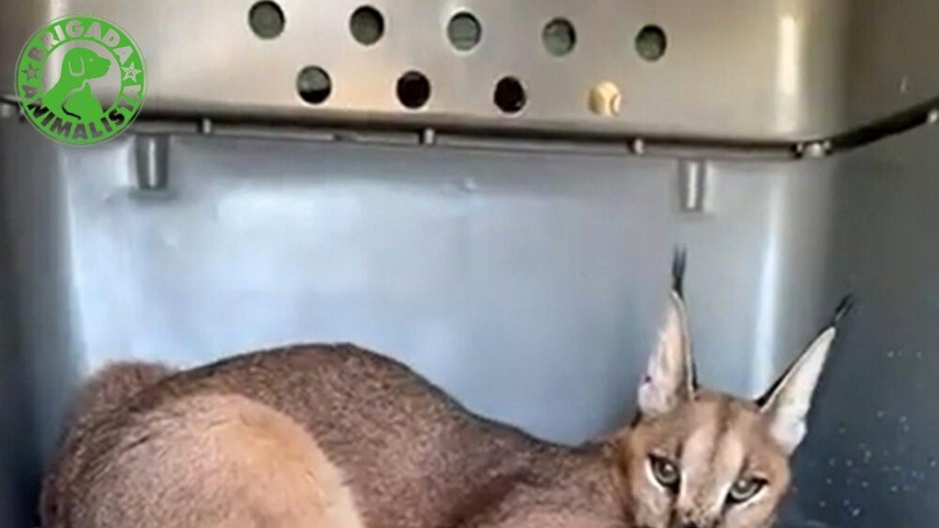 fotonoticia 20250805201348 1920