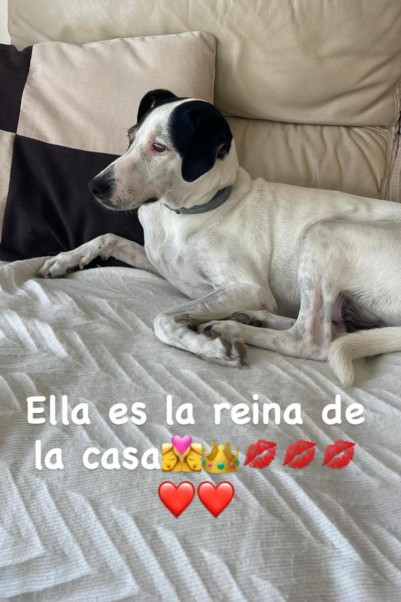 Maite Galdeano confiesa quién es la "reina" de su casa