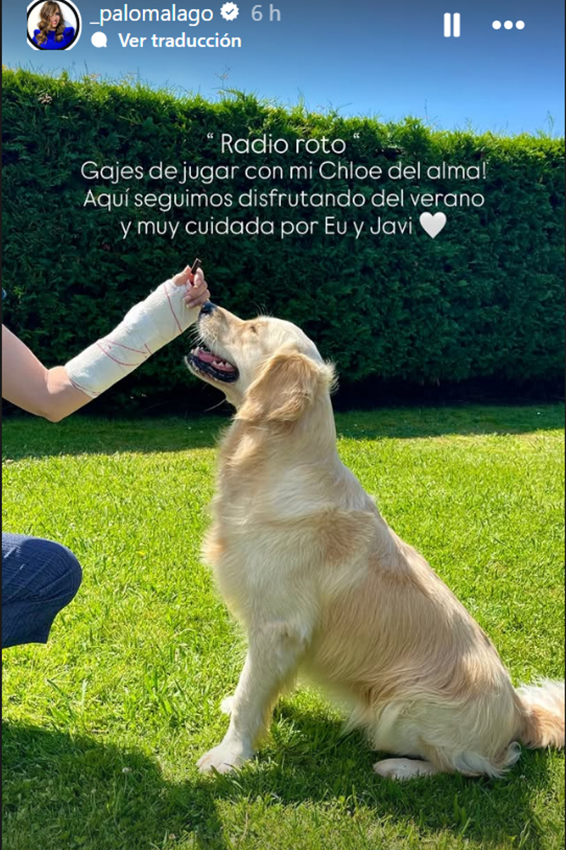 Paloma Lago se rompe el radio