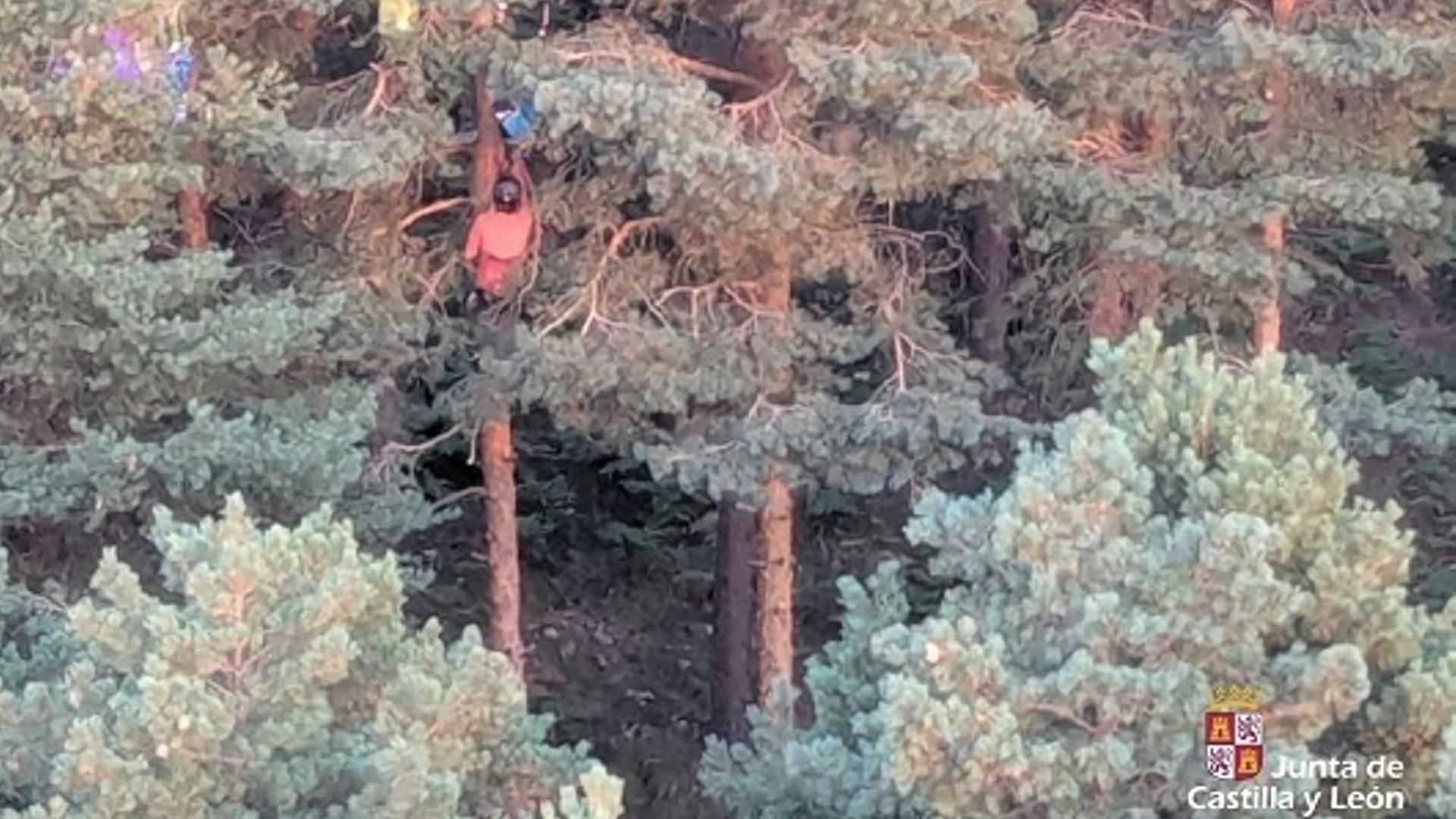 Un parapentista se queda colgando de la copa de un árbol a más de seis metros en Arcones, Segovia, hasta ser rescatado