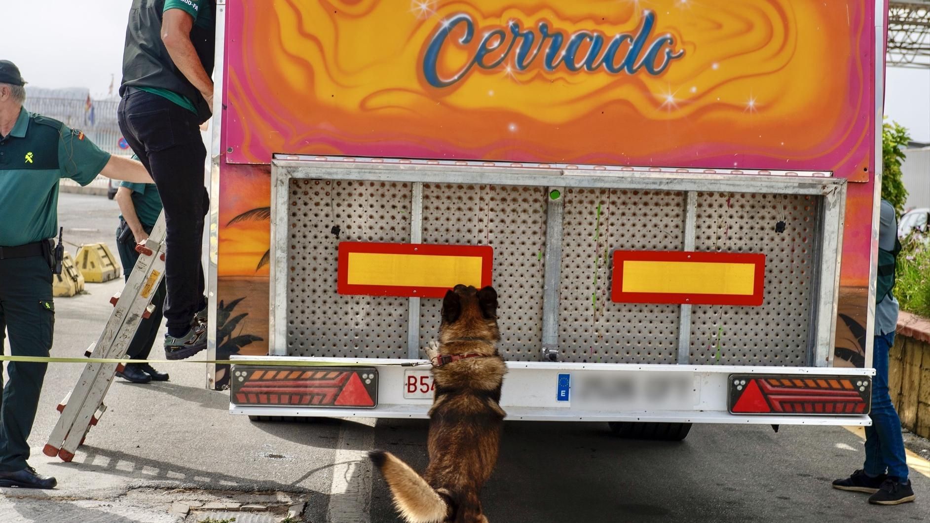 Un perro de la Guardia Civil registra un camión durante la 'Operación Feriante', en el puerto de Ceuta