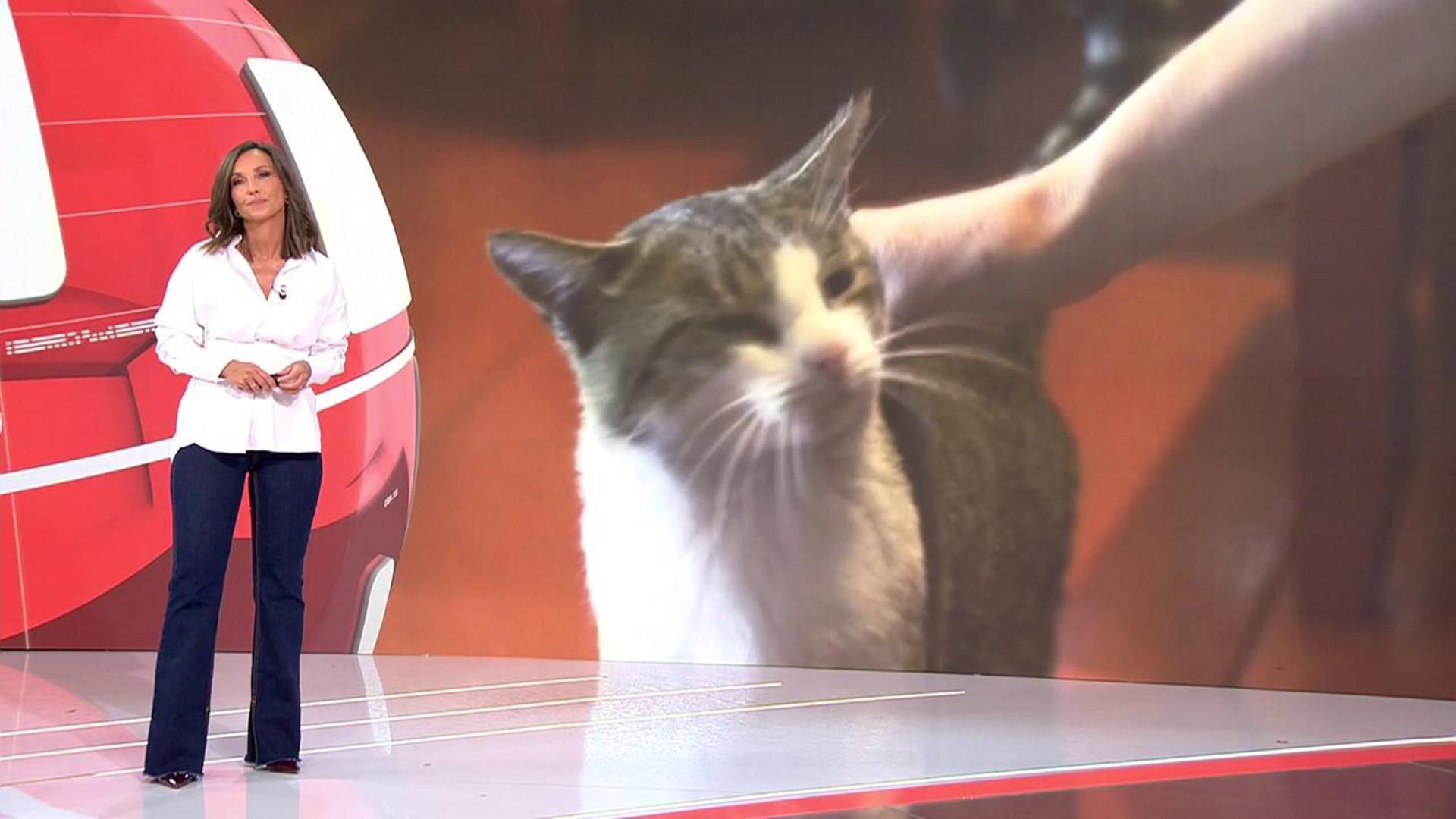 2025 08 07 1247 REC Cuatro REC.ts.0x0.157911377724900