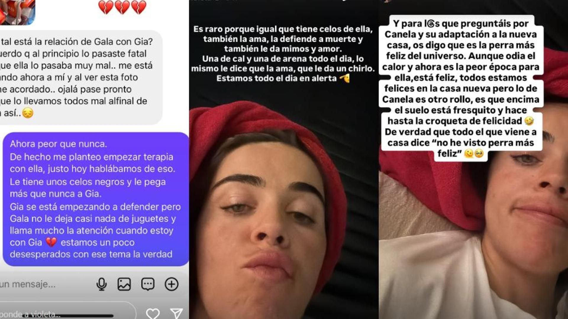 La relación de las hijas de Violeta