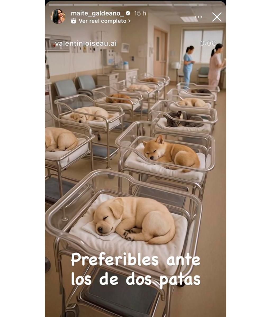 Maite Galdeano prefiere perros a sus hijos