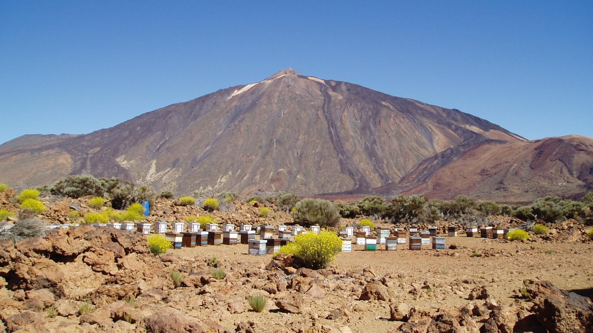 Registran un nuevo enjambre sísmico con más de 700 pequeños terremotos en el Teide, en Tenerife