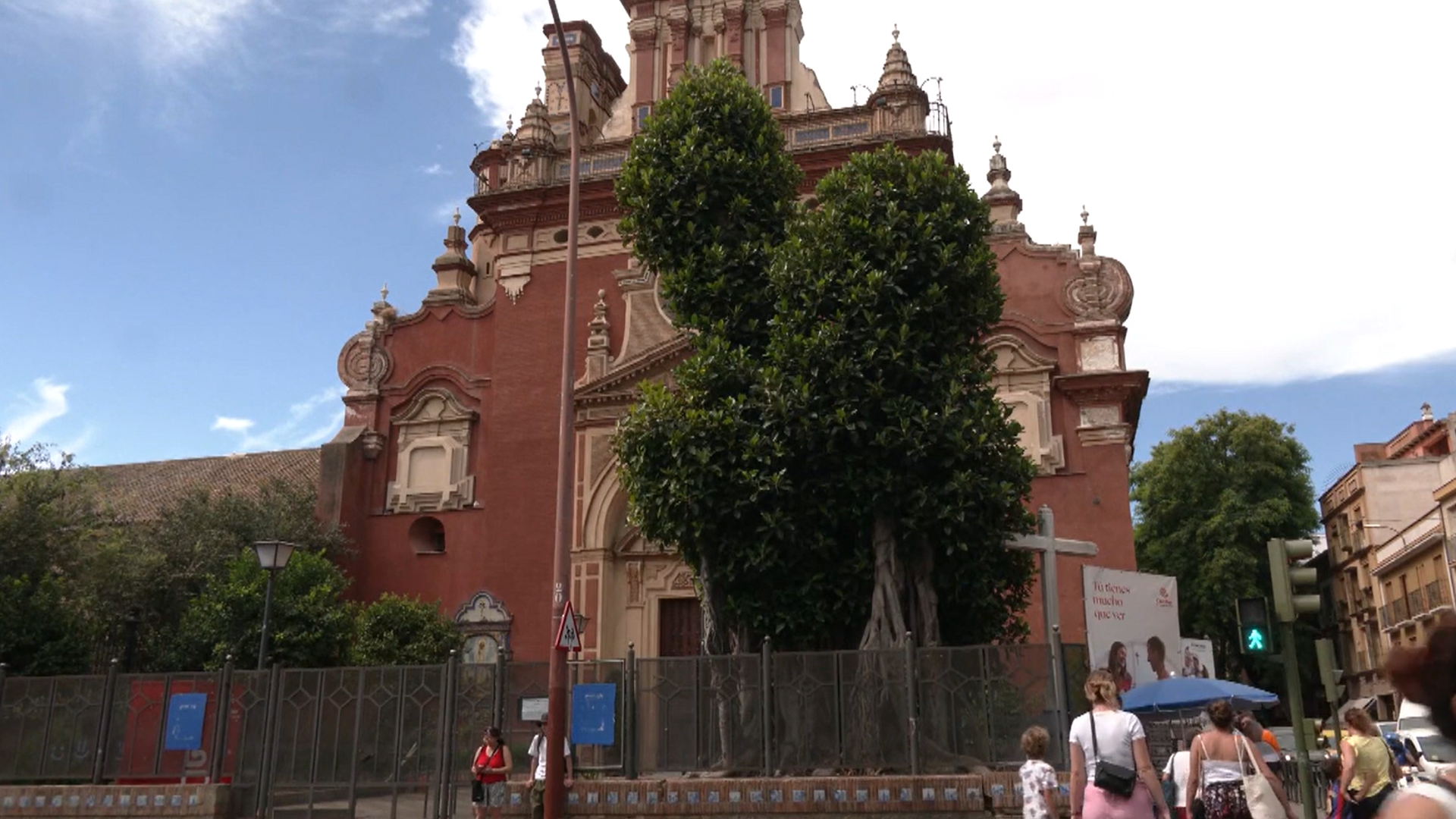 Talan el ficus de San Jacinto, el símbolo de Triana durante más de 100 años pese a las manifestaciones