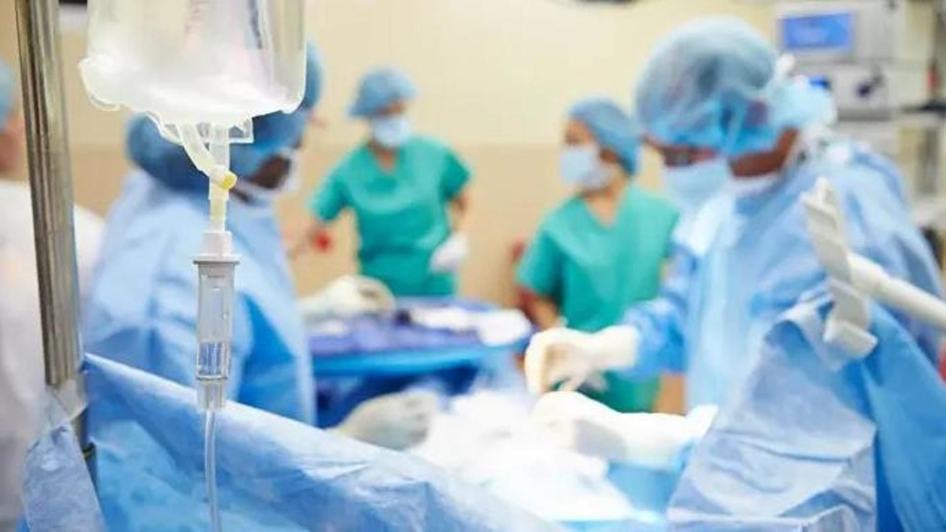 Un trasplante de médula ósea frena la progresión de la microgliopatía en ratones y humanos