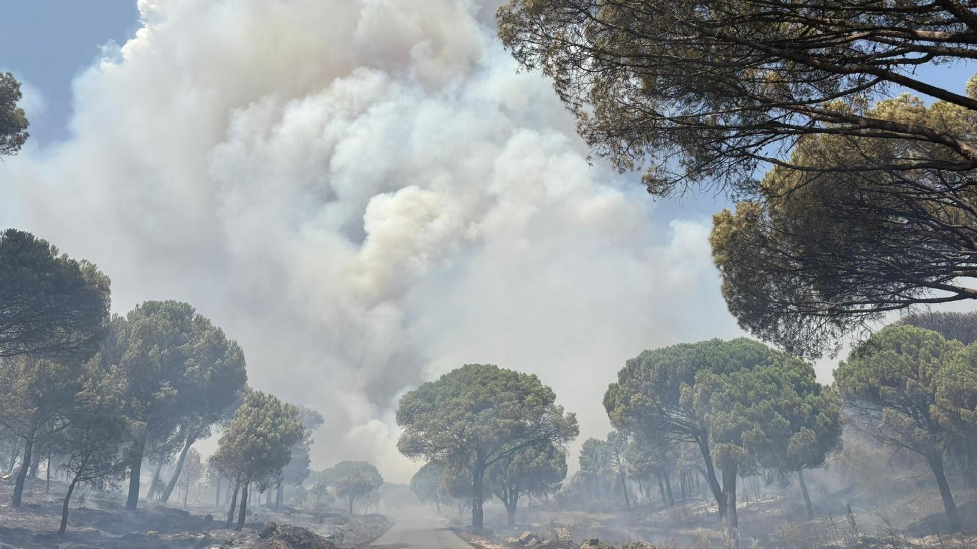 El incendio en San Bartolomé de Pinares, en Ávila, se agrava: problemas en trenes e inmediaciones