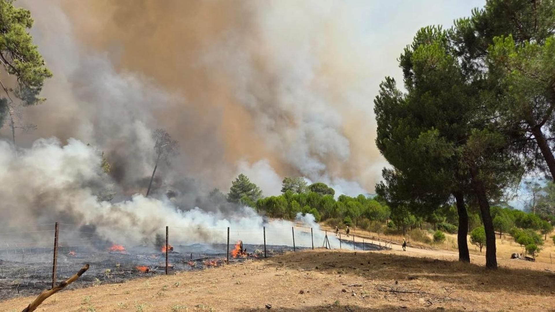 El incendio en San Bartolomé de Pinares interrumpe la línea de tren entre Ávila y Madrid y moviliza a la UME