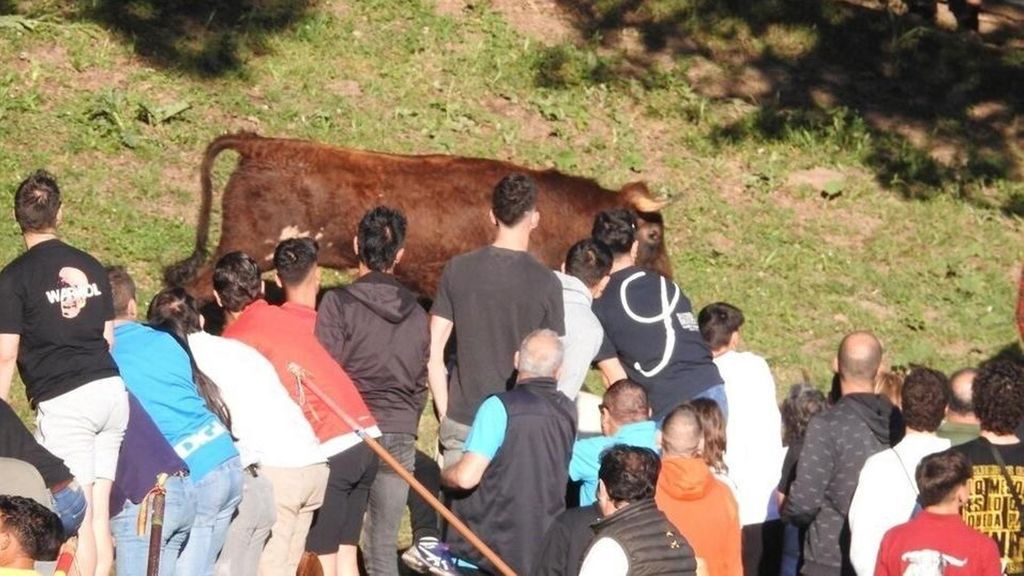 La Fundación Franz Weber advierte que trasladará a la ONU el acceso de menores a la corrida de toros de Inca, Mallorca