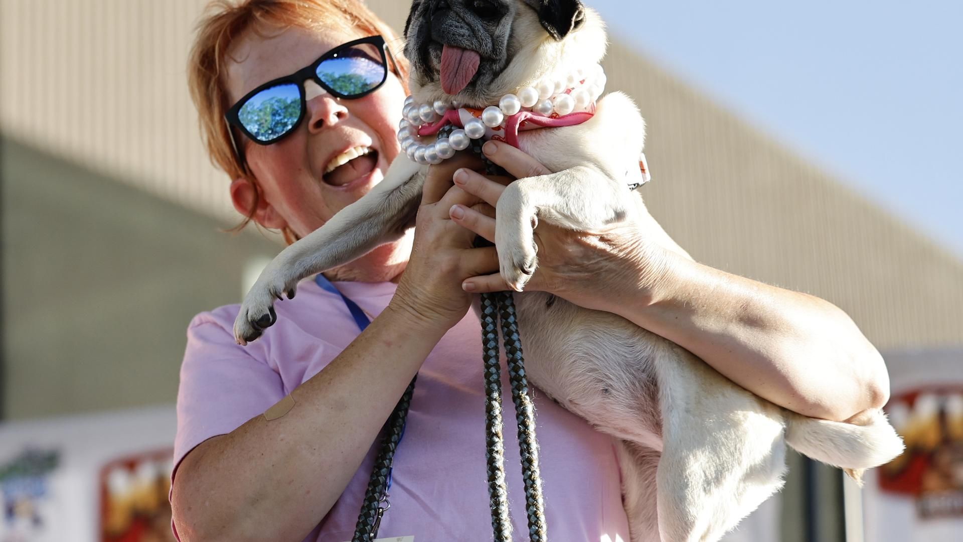 Jinny Lu, la segunda perra más feo del mundo de 2025