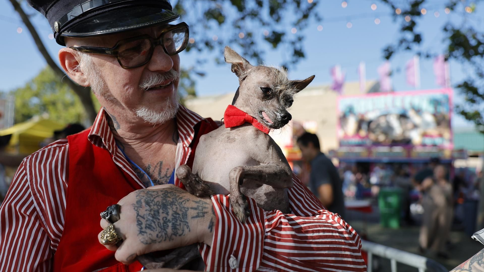 Little Prince, participante del concurso del perro más feo del mundo 2025