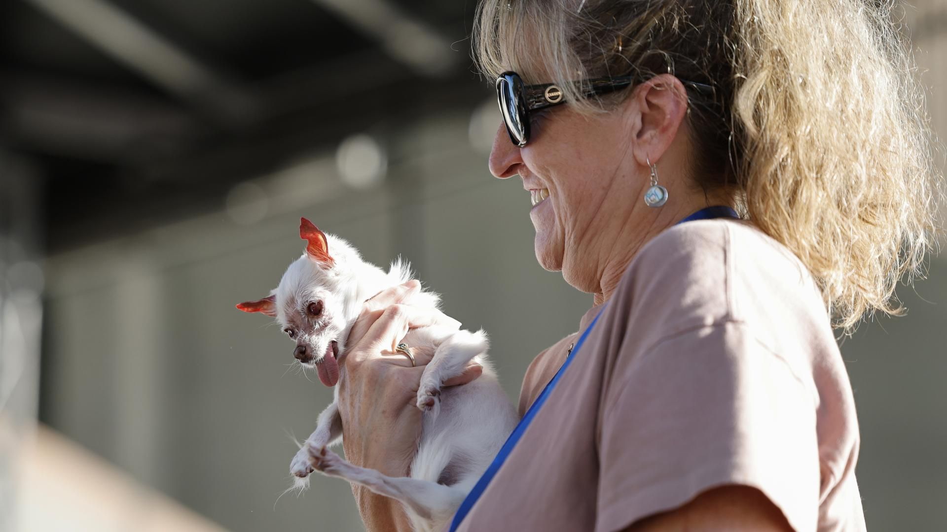 Nezumi, participante del concurso del perro más feo del mundo 2025