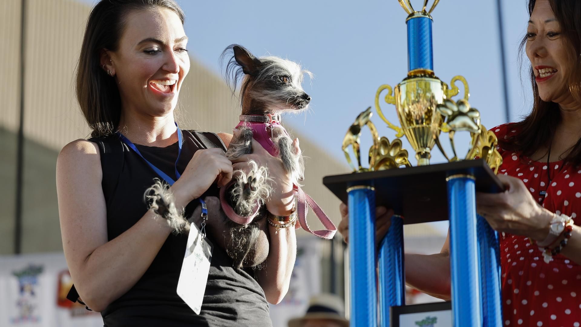 Poppy, la tercera perra más fea del mundo de 2025