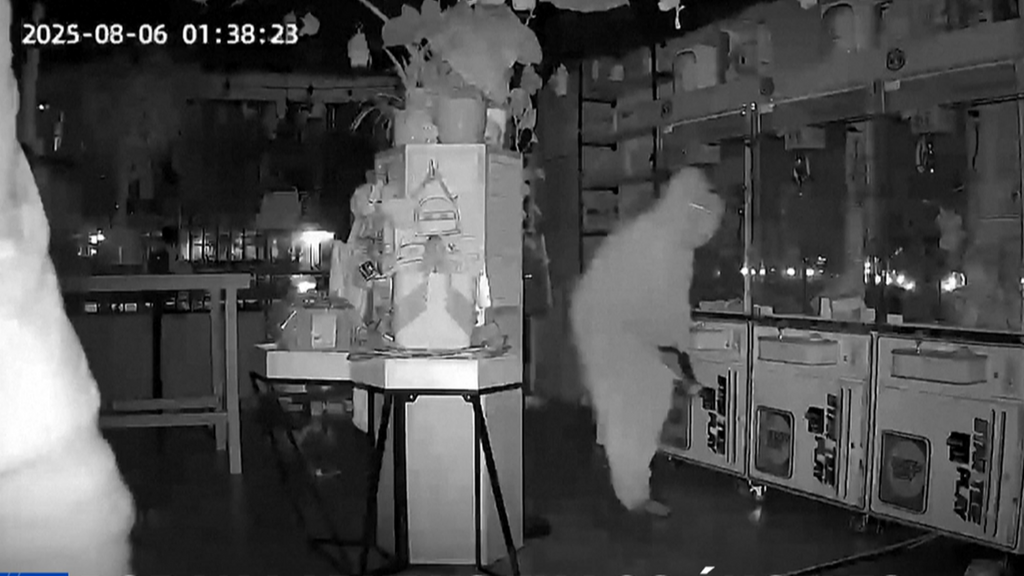 La fiebre por los labubus: un grupo de ladrones roba decenas de estos muñecos virales en una tienda de Los Ángeles