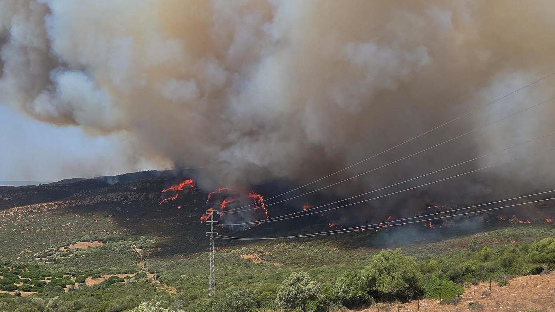 Alerta por un nuevo incendio en Tarifa: más de 2.000 personas desalojadas por el fuego en la Sierra de la Plata