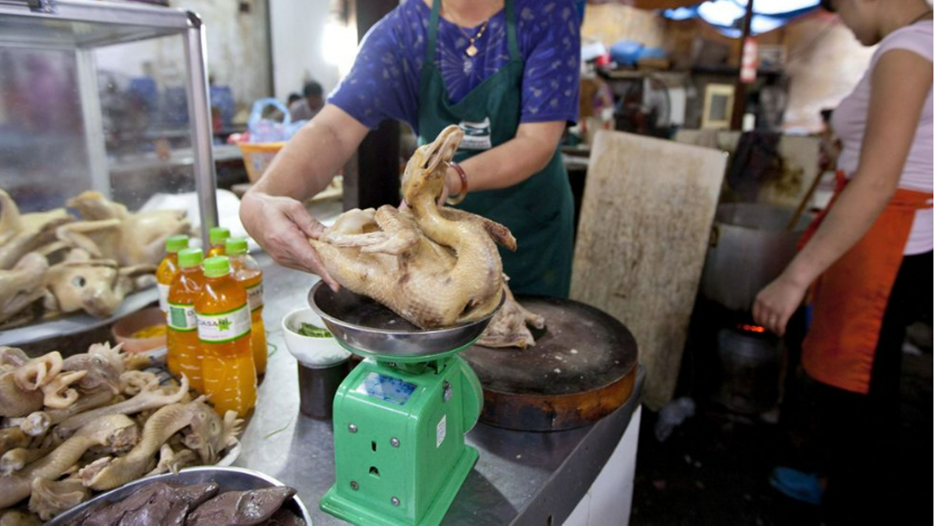 El ECDC informa de un caso humano de gripe aviar A(H5N1) en una menor de 10 años de Camboya