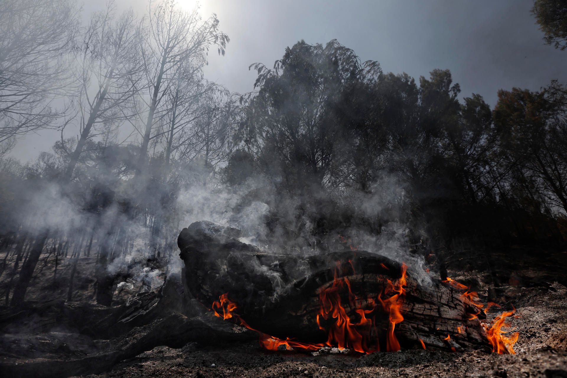 El incendio de Carcastillo, Navarra, sigue sin perimetrar y con la amenaza de tormenta seca