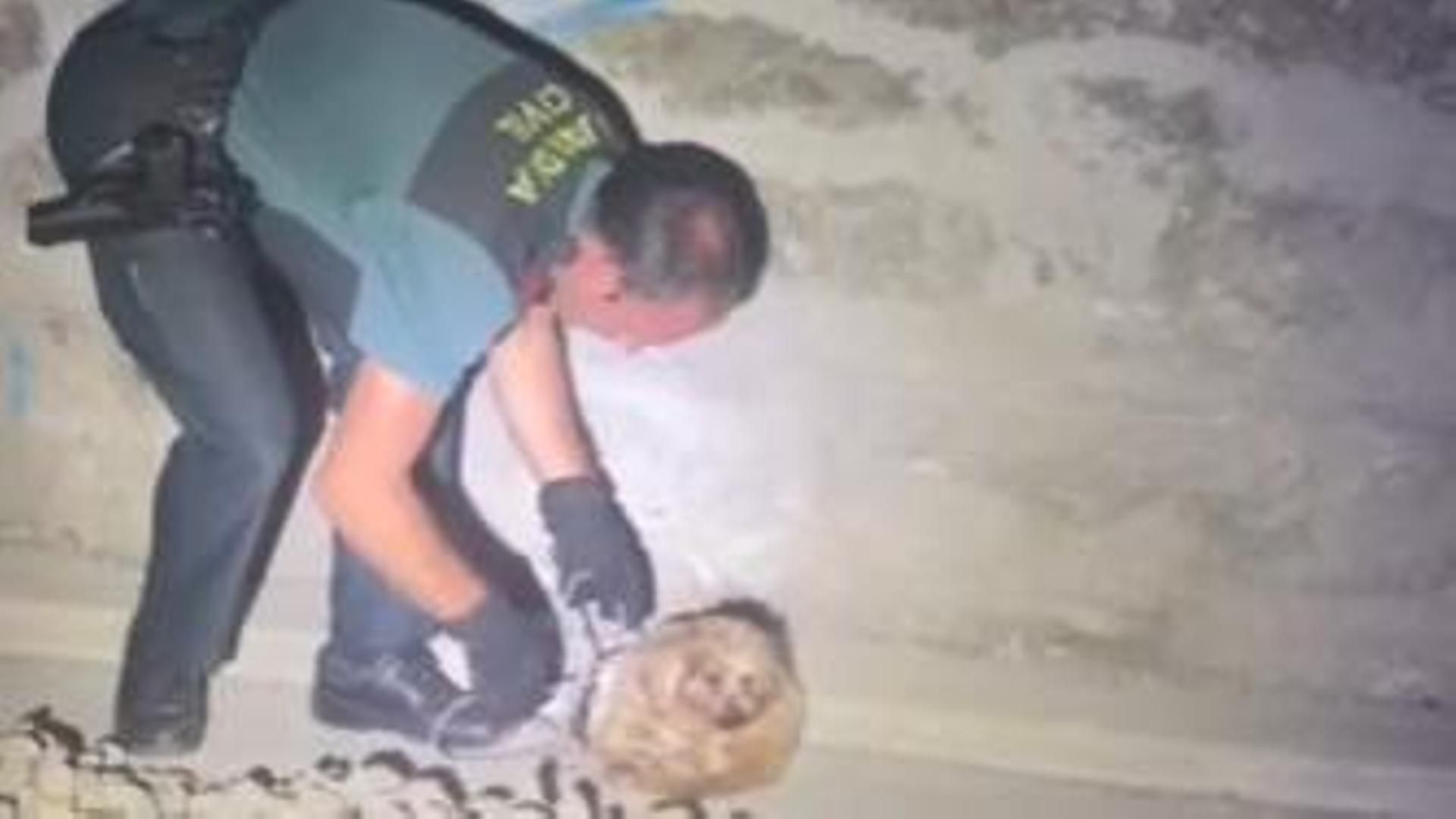 Guardia Civil rescata un perro en Canfranc