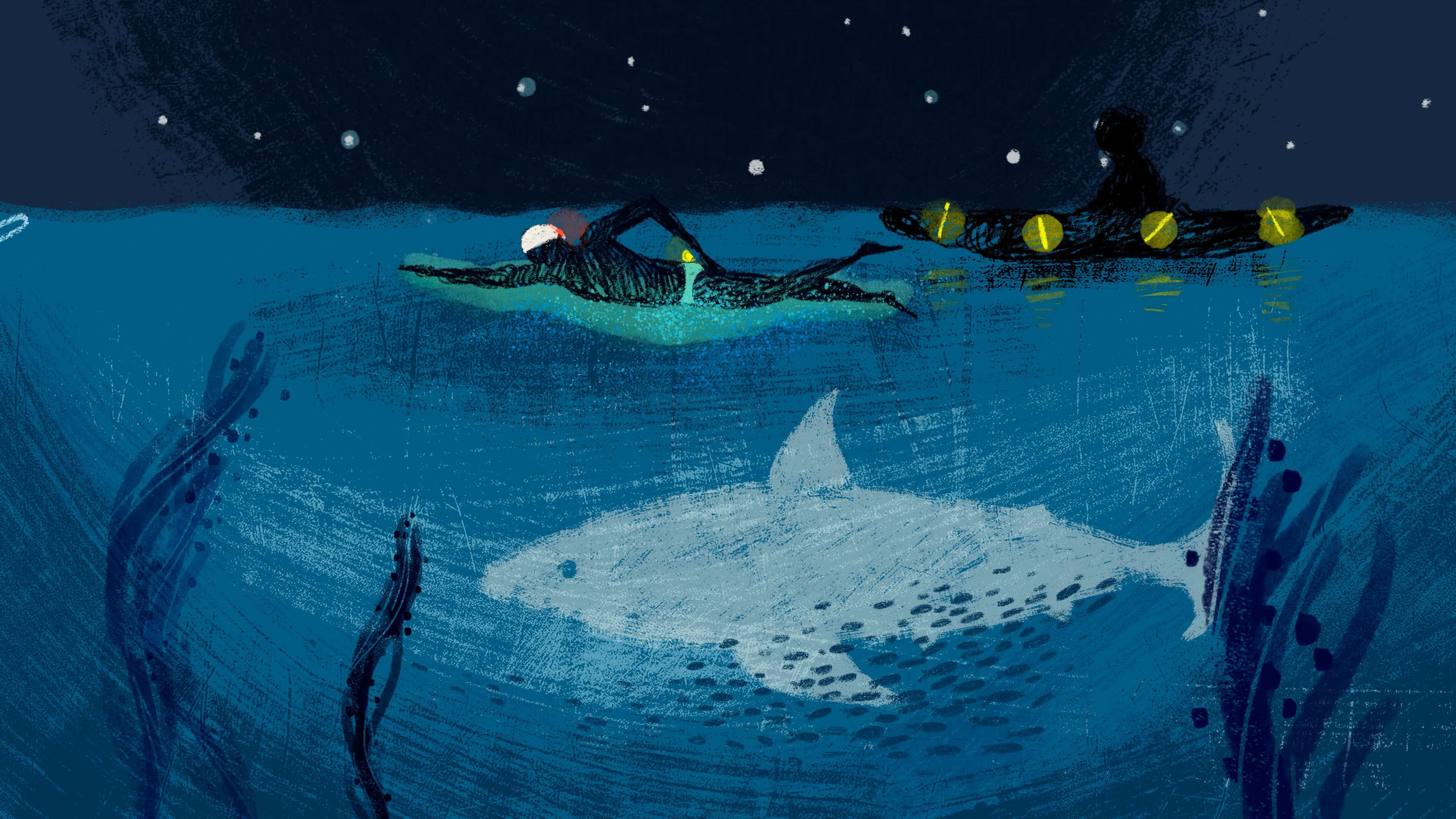 Ilustración de Eider Eibar de Iskander atravesando el Canal de Catalina: "Nadé encima de una bayena gris"