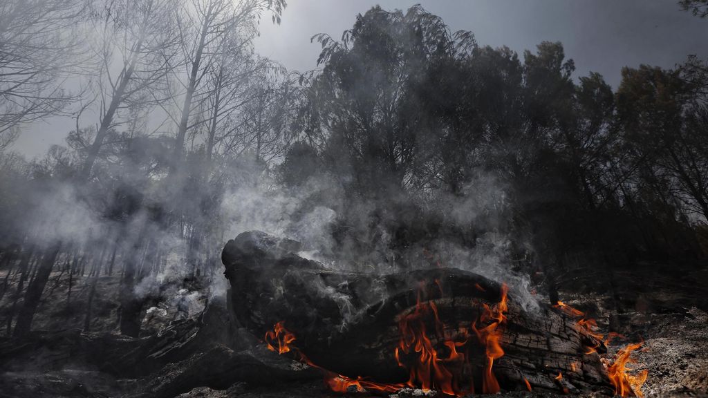 Incendio en Carcastillo