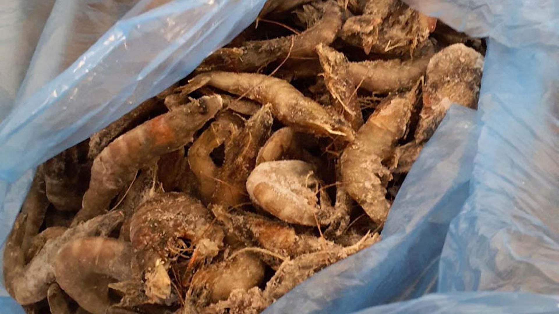 Langostinos en una bolsa decomisados en Sevilla