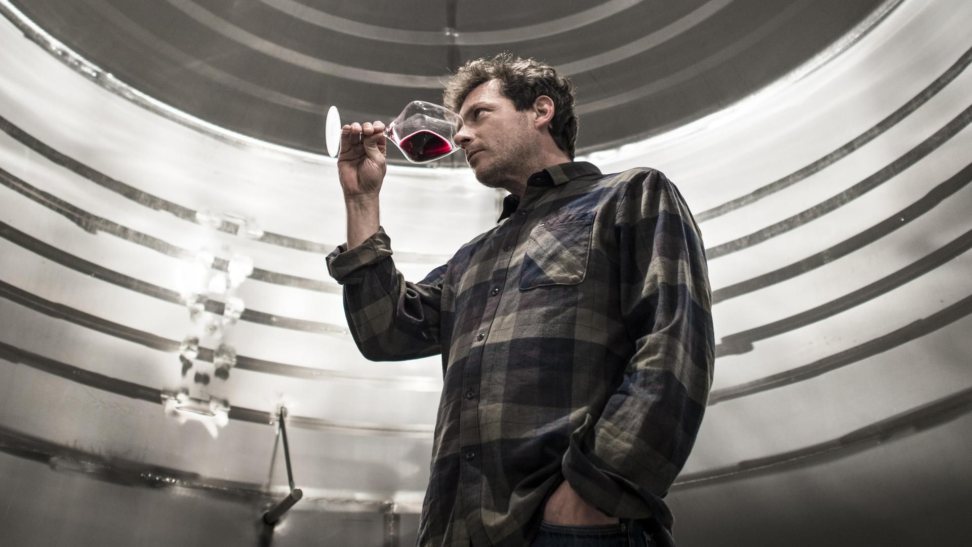 Luis Guemes bodega 202  LYZ4390