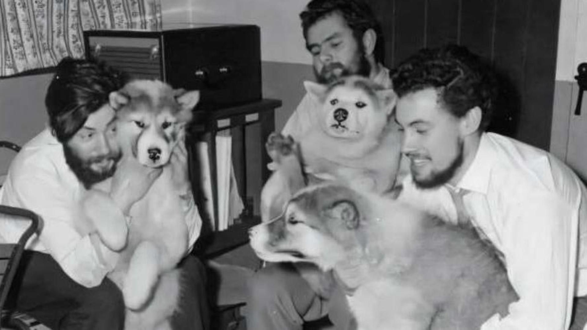 Dennis Bell (izquierda) con sus compañeros y los perros que los ayudaron a trabajar en la Antártida. Pleno invierno de 1959 en la Base de la Bahía del Almirantazgo