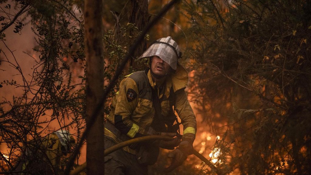 España, arrasada por el fuego este 12 de agosto: más de una docena de incendios por todo el país