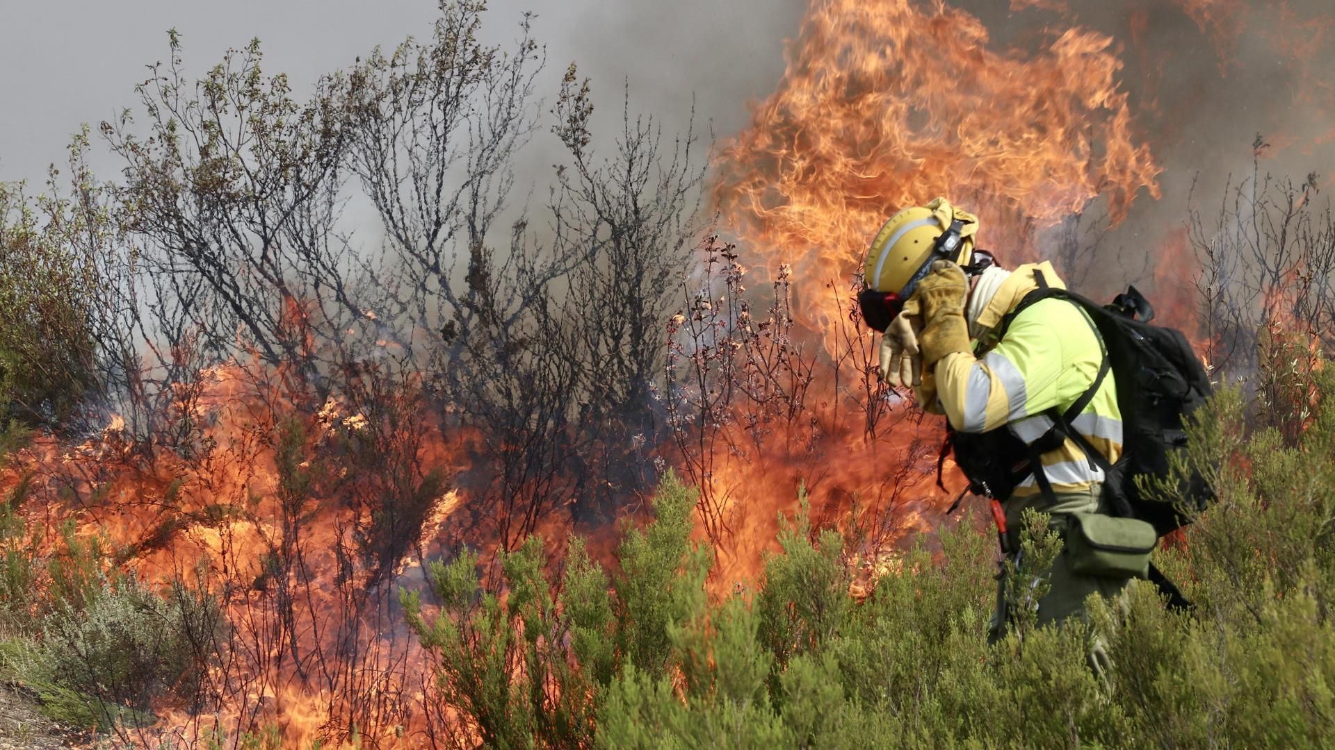 Incendio en Puercas (Zamora) en la Sierra de la Culebra