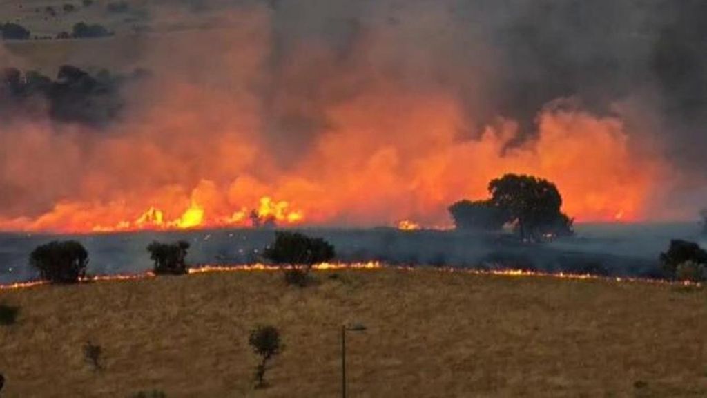 ¿Por qué el incendio de Tres Cantos se propagó tan rápido? La peligrosidad de las tormentas secas