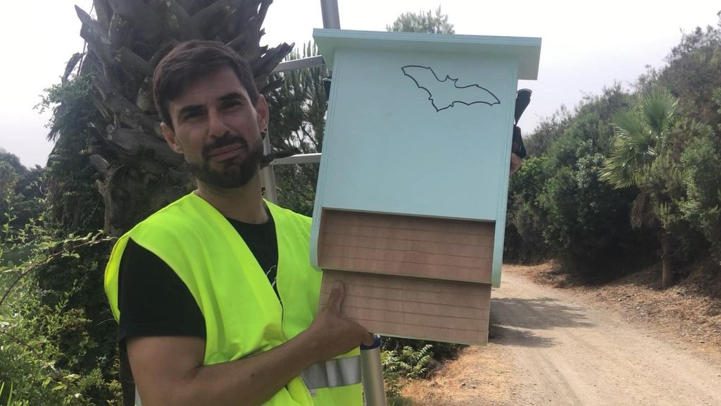 Así son los refugios para murciélagos:  remedio natural contra los mosquitos