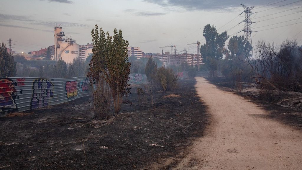 El campo quemado en el incendio de Tres Cantos, Madrid (España)