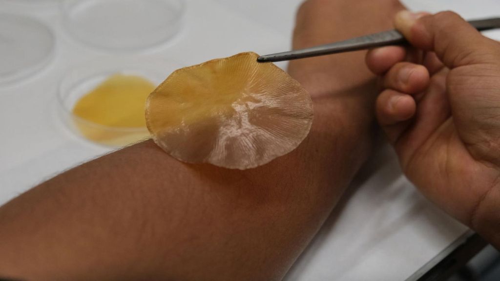 Imagen del apósito creado por investigadores del CSIC ICMM