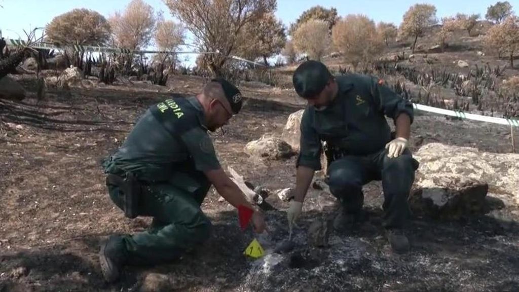 Las penas a las que se enfrentan los pirómanos: ya hay 25 detenidos en lo que va de verano