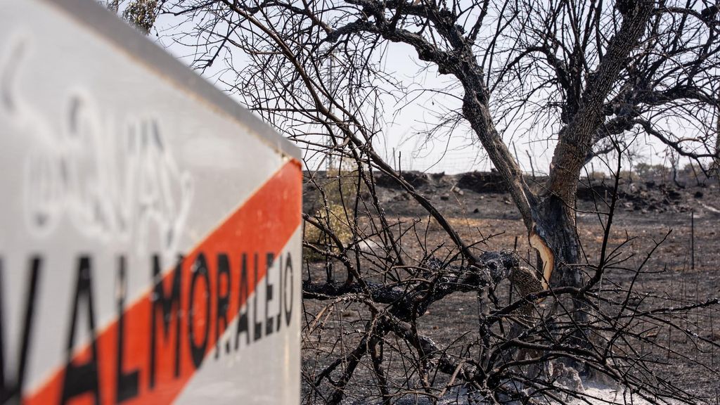 Levantan el confinamiento de Calera y Chozas por el incendio de Toledo, que ha arrasado ya 3.250 hectáreas tras extenderse a Cáceres