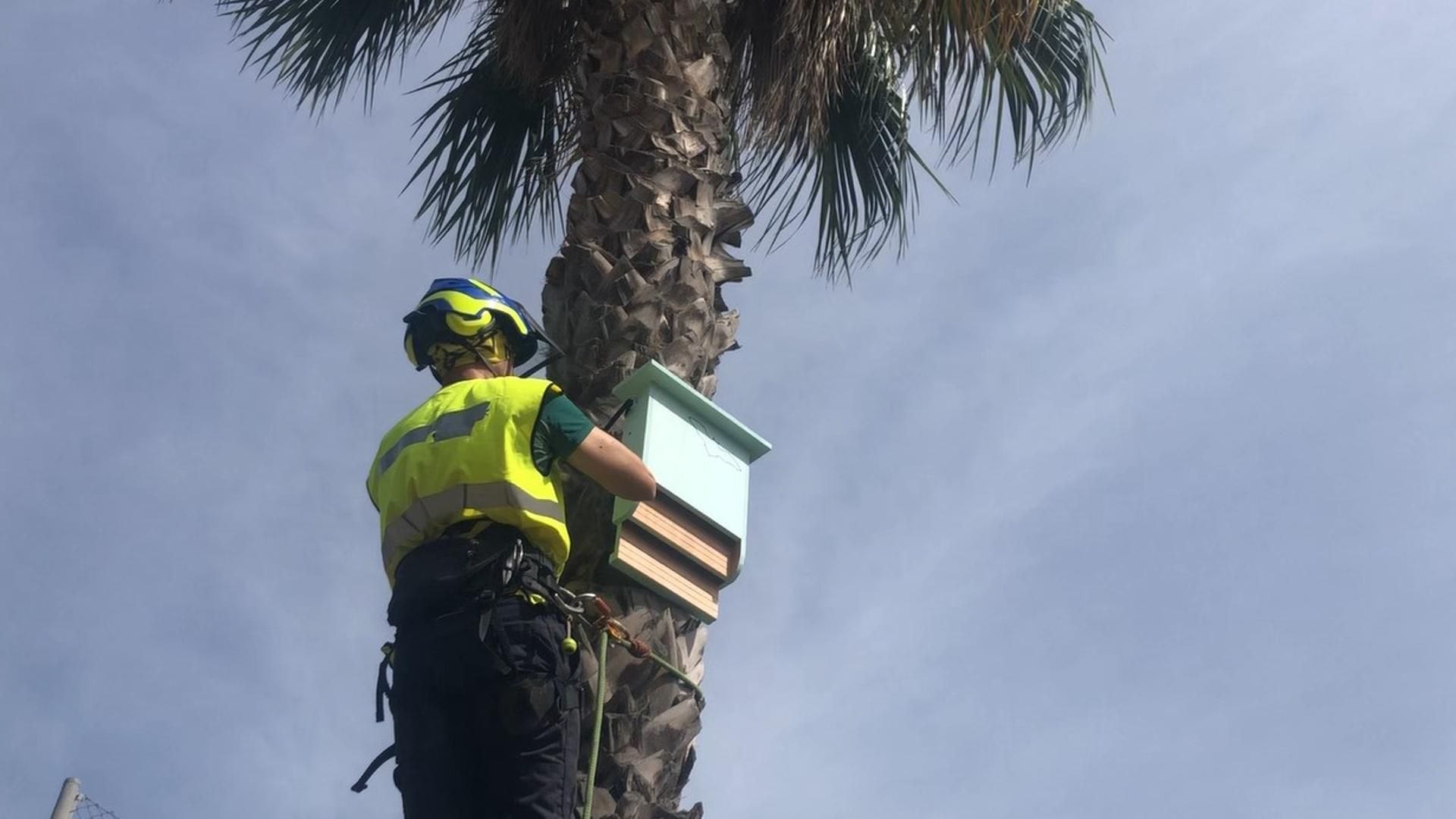 Los murciélagos, el remedio natural contra los mosquitos