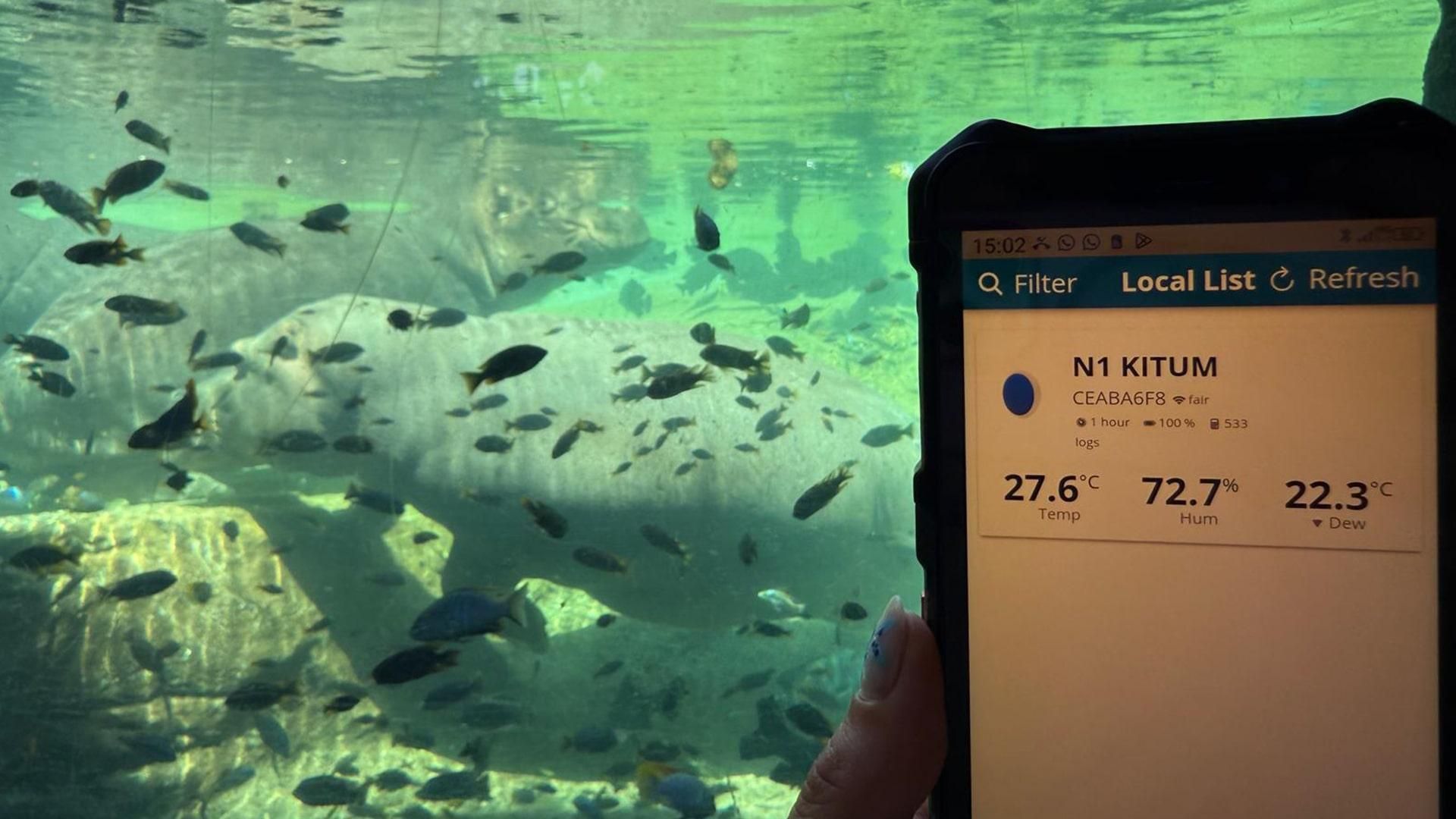 Medicion temperaturas BIOPARC Valencia verano 2025