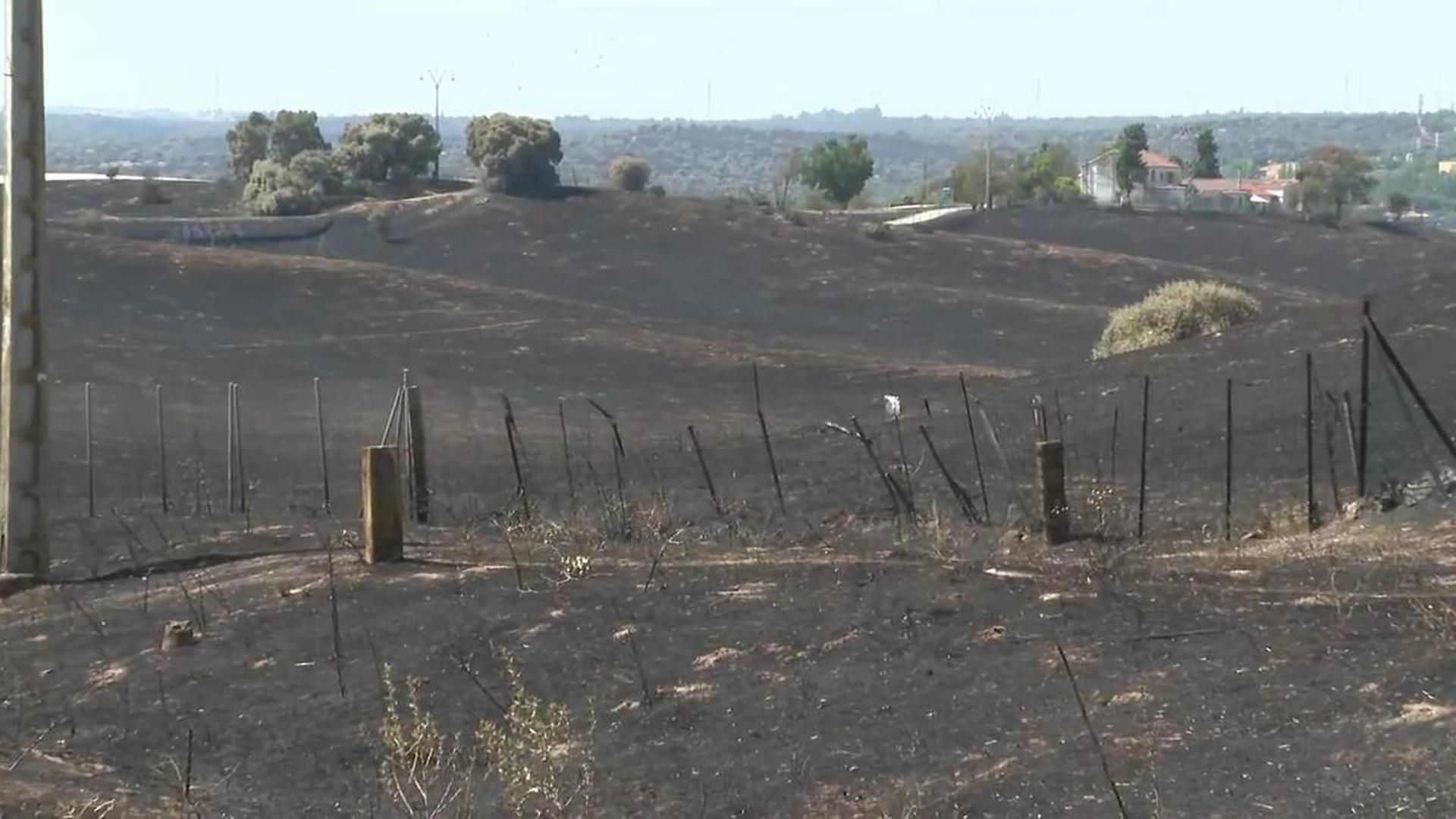 Varias familias de Tres Cantos, Madrid, lo han perdido todo por el incendio