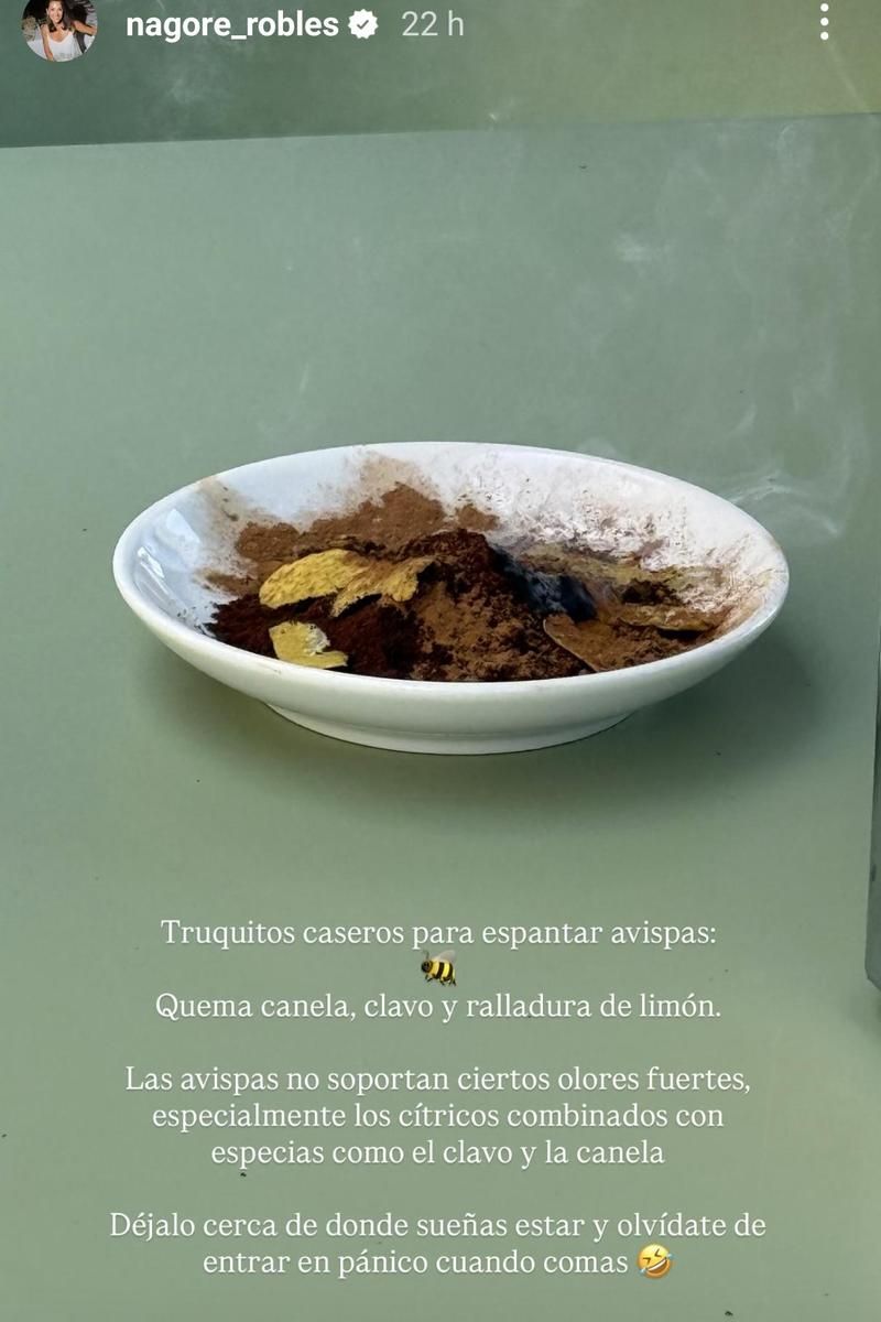 Nagore Robles enseña su truco casero para espantar avispas