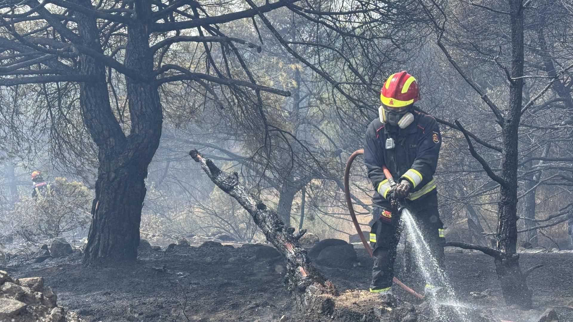 ¿Quién es quién en la lucha contra los incendios forestales?