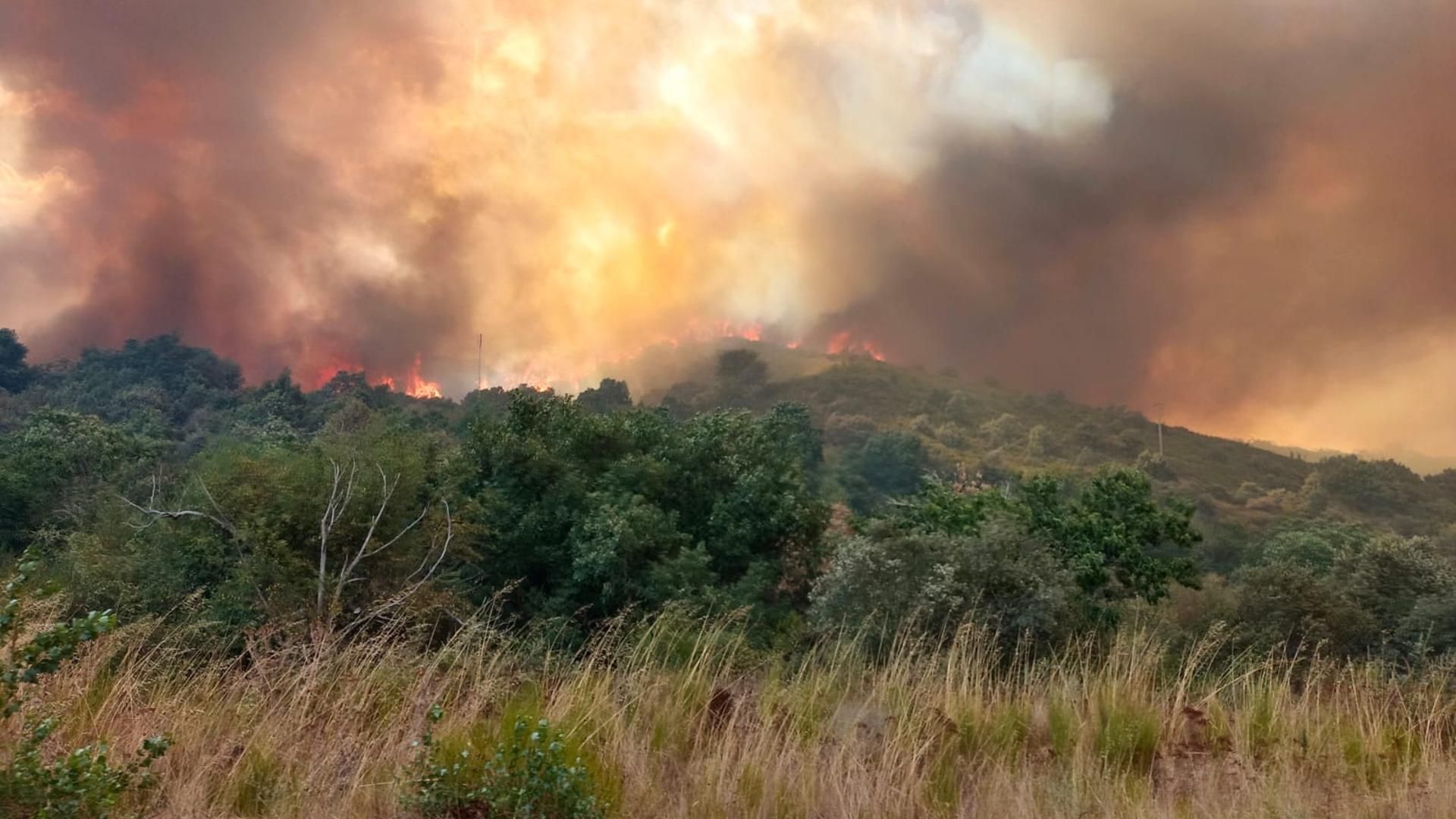 Tercer fallecido por el fuego: muere uno de los heridos graves en el incendio de León
