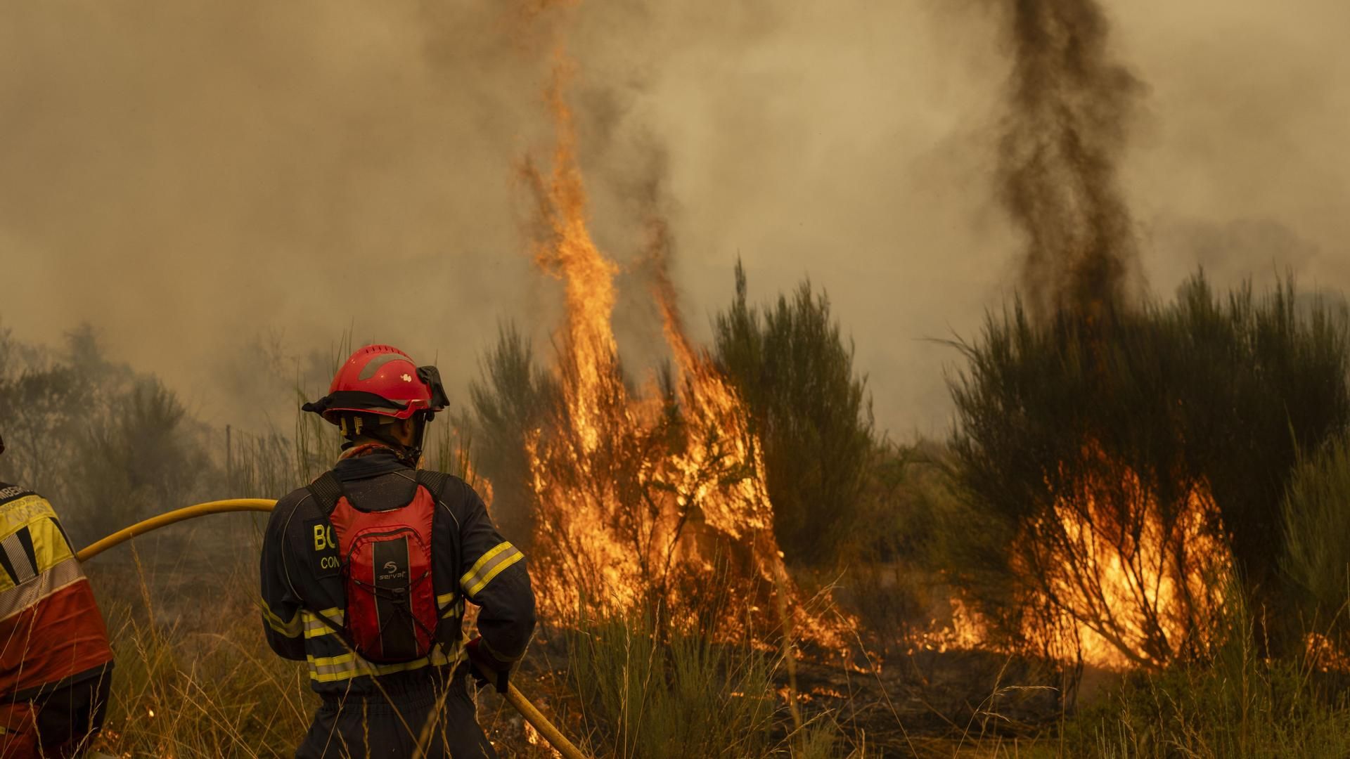 Efectivos luchando contra el fuego